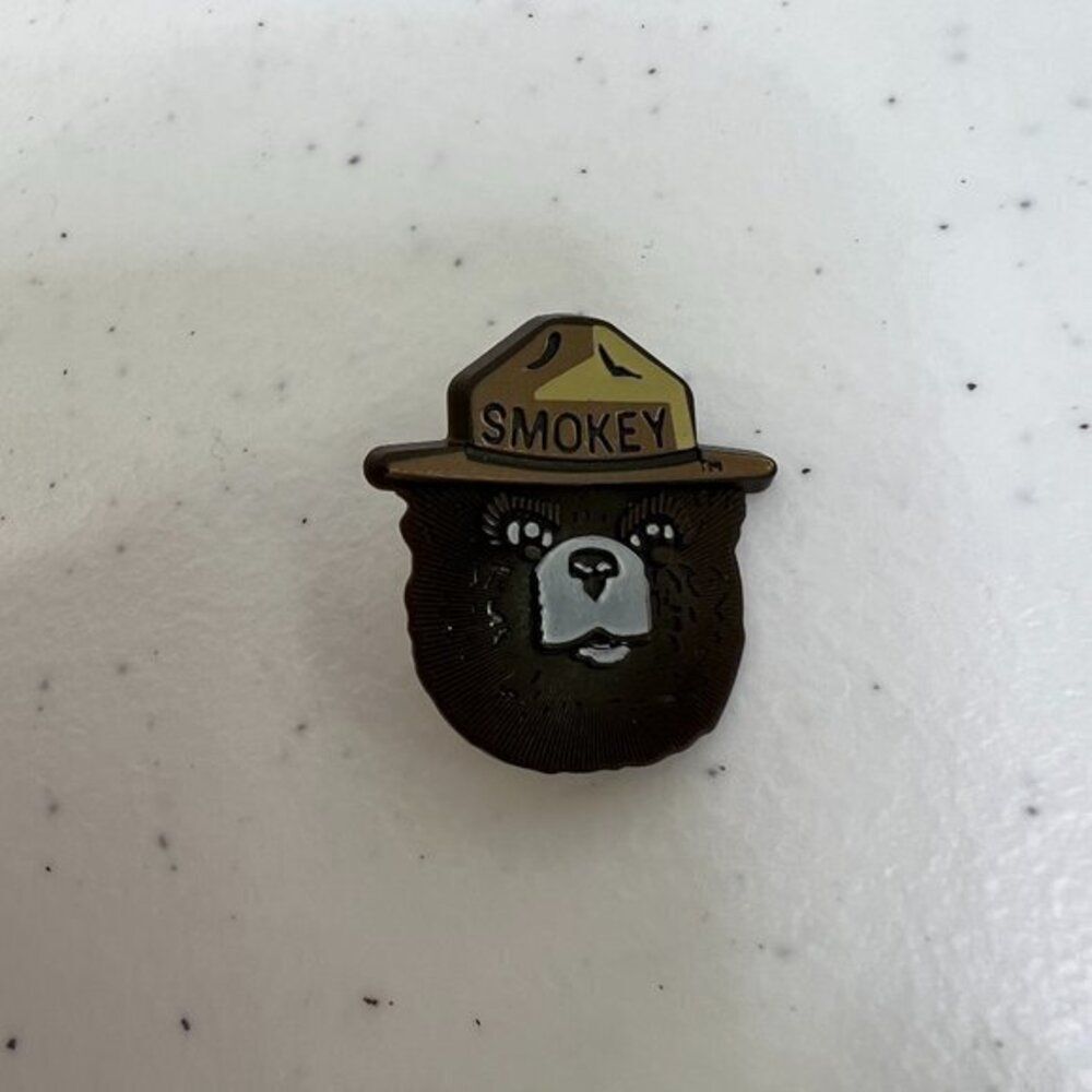 Vtg Collectible Pin Plastic Smokey The Bear US Forest Services Animal Head Face